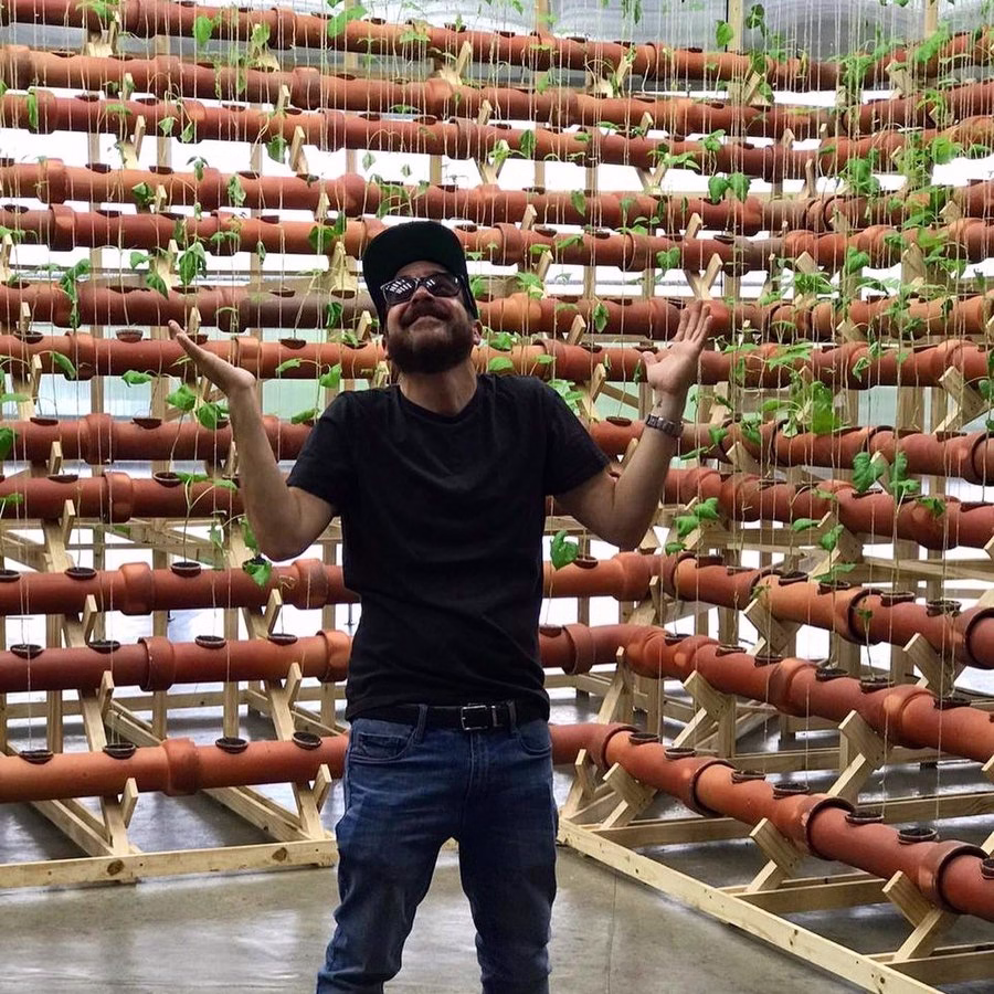João Lordello entre as mudas no início da instalação na Bienal