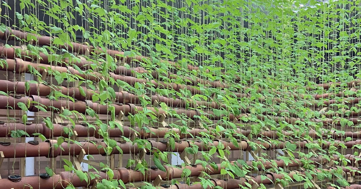 Escolhidos para nutrir uma obra viva na 34ª Bienal de São Paulo